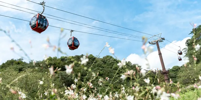【女一人旅】神戸1日観光で自然&食&買い物を楽しむ💐2020年9月