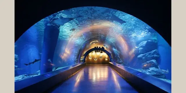 ”子供が主役”の超気軽な都心の本格水族館