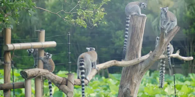 上野