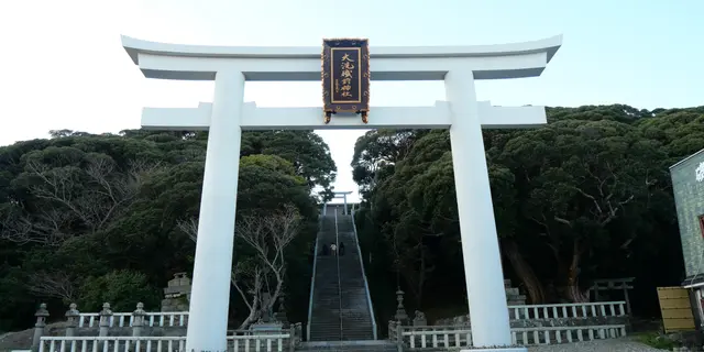 【茨城県】あんこう鍋に明太子！大洗の海鮮グルメツアー🐟