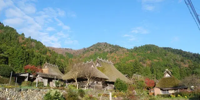 【京都】大人な京都グルメ食べ尽くし旅🦌