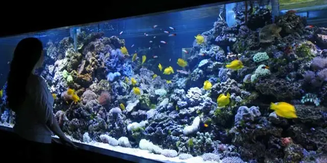 今更だからこそ楽しめる！スカイツリー周辺を遊び尽くす