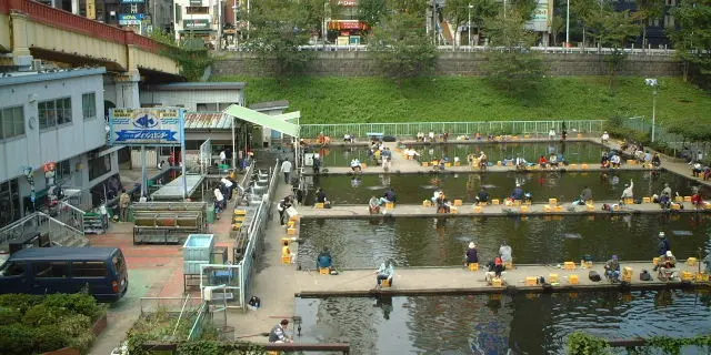 新宿周辺こんなお出かけしたことない。