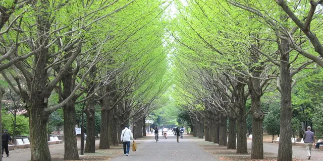 のどかさに包まれる練馬
