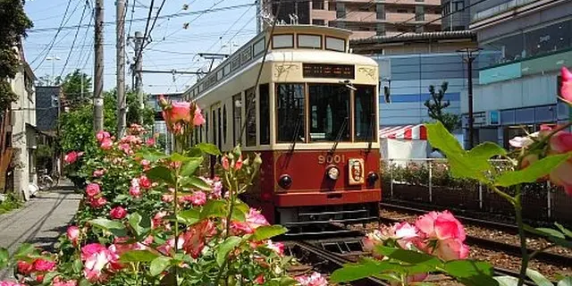 都電荒川線食べ歩きの旅
