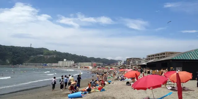 逗子・葉山のお気に入り