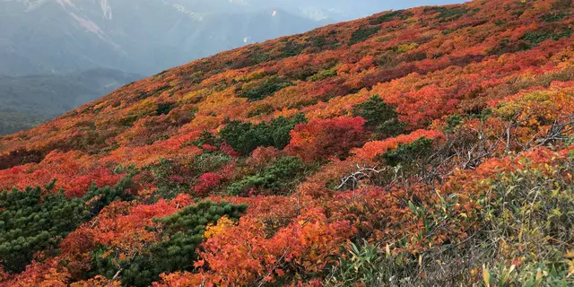 【宮城】シーズン到来！紅葉の名所🍁栗駒山を訪れる1泊2日