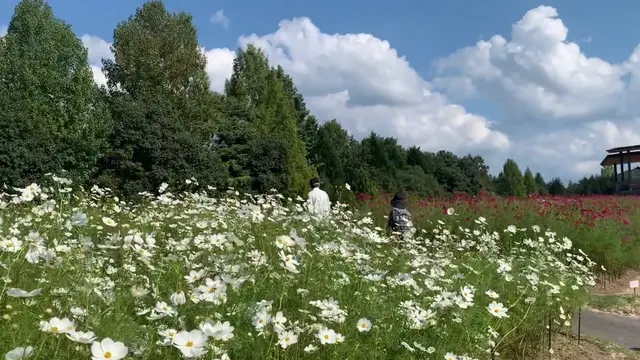 【広島県】三次・庄原いいとこ取り！弾丸日帰り旅🚙