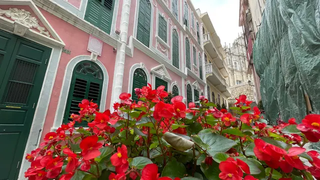 マカオ写真映えスポットめぐり📸