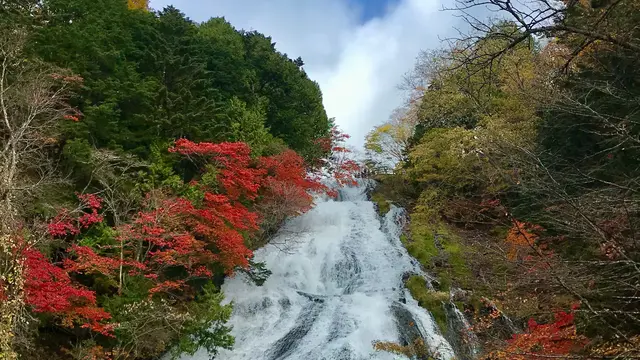 もみじ狩り🍁日光『中禅寺湖〜湯ノ湖編』