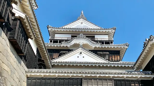 松山マストスポット満載📌✨1日でめぐる松山歴史と芸術満喫プラン🎶✨