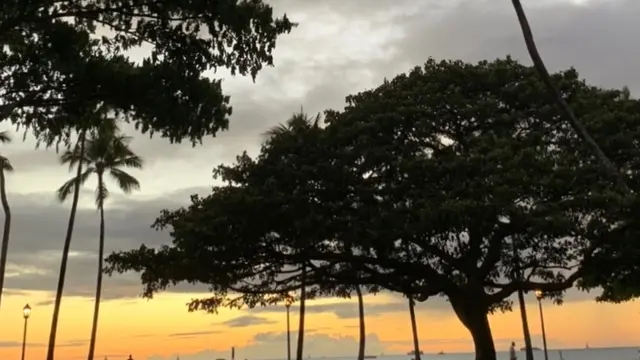 コロナ禍のハワイ旅🌈