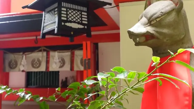 【山口県・島根県】電車乗り放題の周遊パスで湯田温泉・津和野・防府を巡る！1泊2日のひとり旅