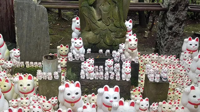 世田谷区歴史散歩コース【豪徳寺】