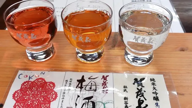 【広島県】日本酒の街・西条🍶昼から美味しいお酒を飲み歩くグルメプラン🤤
