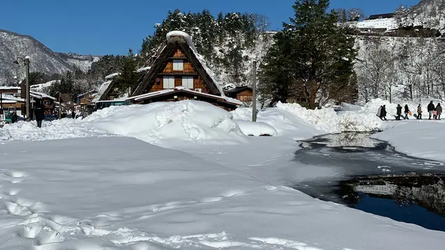 マイカーで行く三河・郡上八幡・白川郷の旅(一部バスツアー)