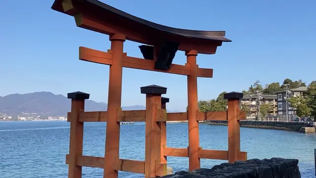 【広島】宮島って一周できるの?誰も知らない宮島の裏側へ行ってみた🚴♂️