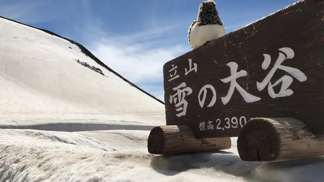 1泊2日で黒部立山アルペンルートと黒部渓谷トロッコ列車を楽しむ弾丸旅❣️