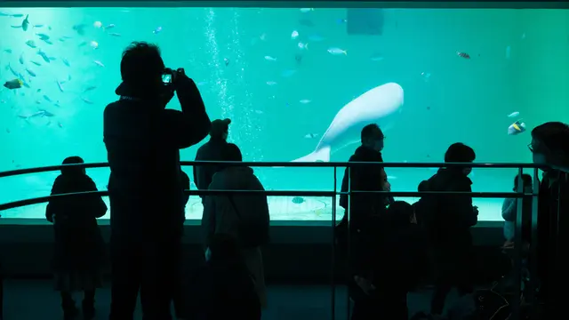 行ったことある水族館