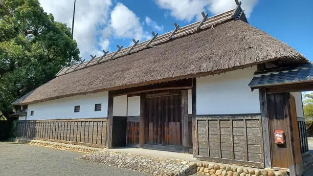 せっかくなら楽しむが吉な午前中🌸