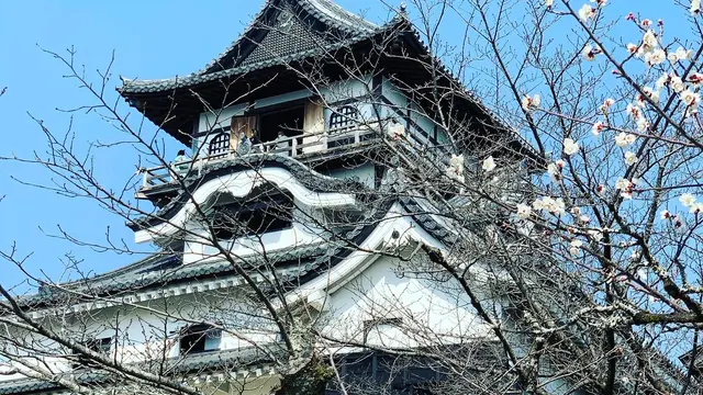 犬山城と男と女(田縣神社と大縣神社)の散策コース