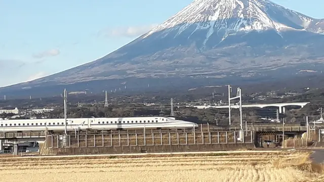 春の静岡旅　新幹線と富士山を鑑賞　そして富士宮焼きそばをいただきました。