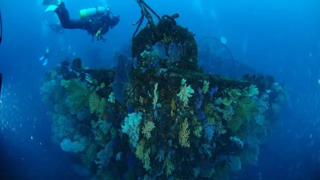 都心から日帰り可能な沈船、海底洞窟ダイブ⁈
