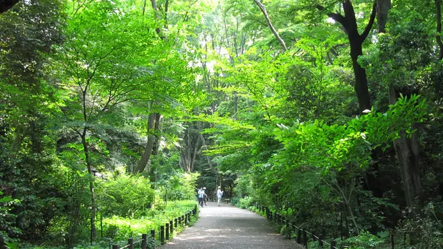 白金周辺を散策♪