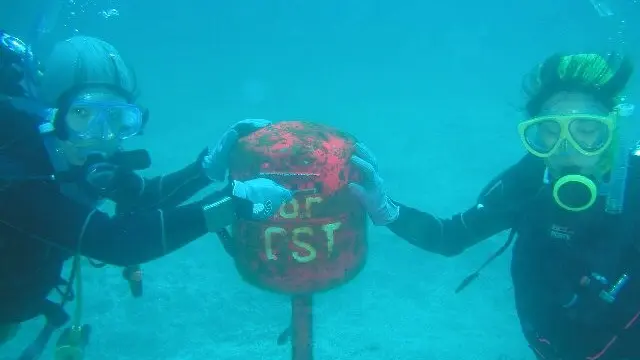 水中の中に本物のポスト⁈クリスマスには水中もみの木クリスマスツリー⁈伊豆海洋公園