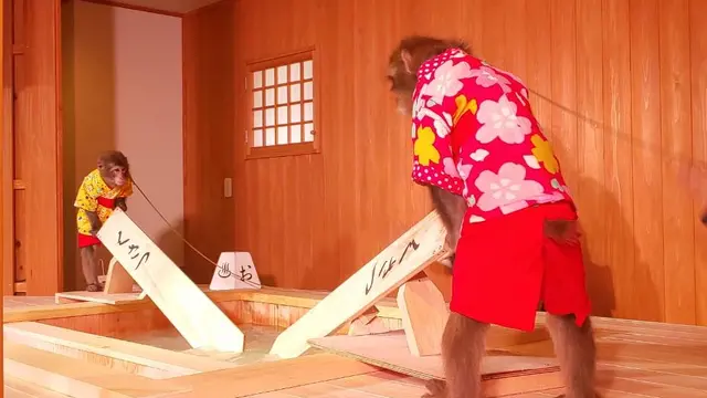 草津♨️よいとこ、2度も3度もおいで〜♬