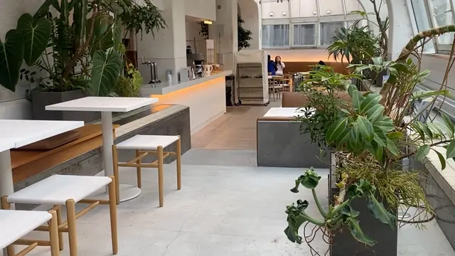 【広島】お洒落な映えカフェ3店舗巡ってきたよ☕️🧡モーニングも☀️