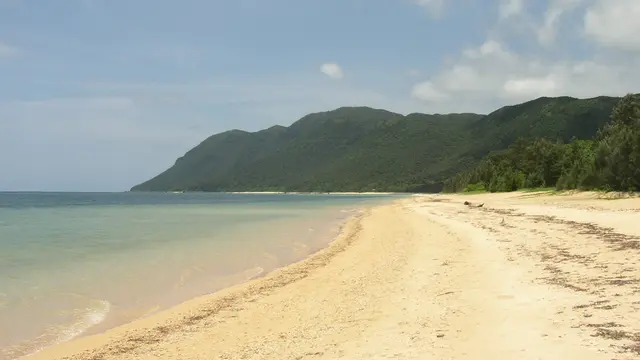 西表島の大自然を堪能する旅