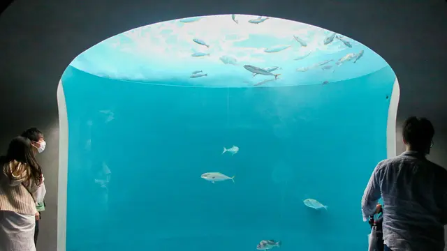 日帰り✈︎香川旅