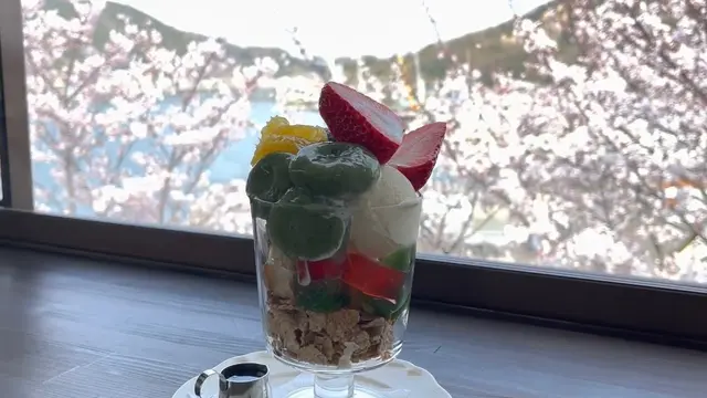 【広島県】春の尾道を散歩しながら桜スポット巡り🌸絶景とグルメを満喫する1日✨