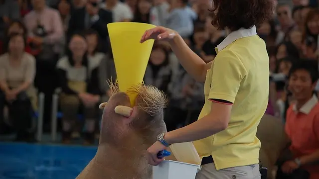 大人も楽しめる鳥羽水族館へドライブ!