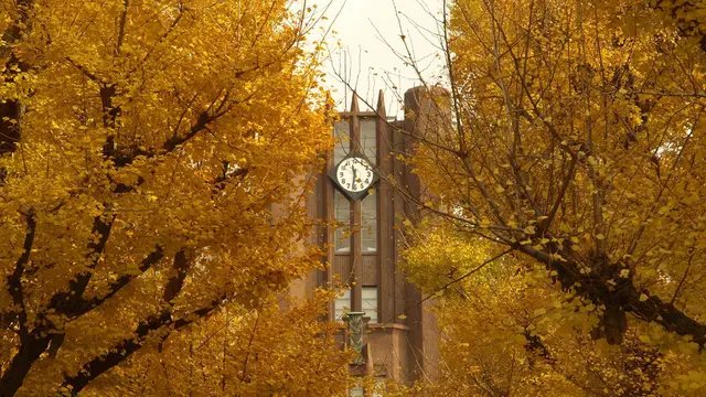 歴史、建築好きは必見の東京大学本郷キャンパス。近くにはおいしいものもたくさんあります！