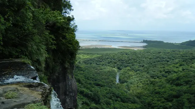 美ら島記録 西表島編