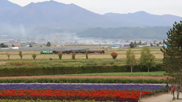 秋の富良野を満喫