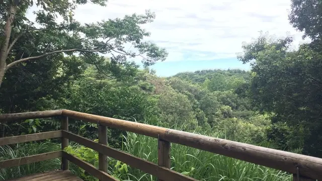 都心からたった30分。青い空の下、子供を野原で駆け巡らせよう!!