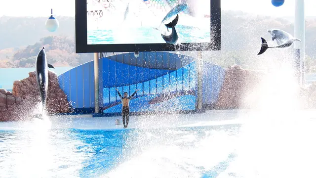 アドベンチャーワールドへ行く　南紀白浜の旅