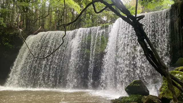 熊本るんるんプラン(1泊２日阿蘇メイン)