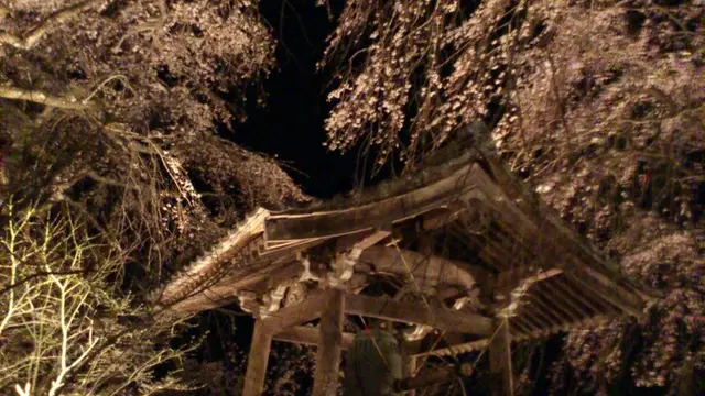 いにしえの桜に浮かぶ五ヶ瀬町