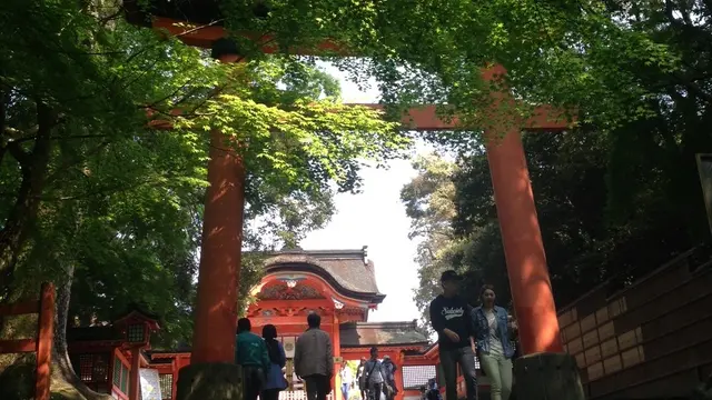 大分をドライブしよう！唐揚げ&地獄めぐり