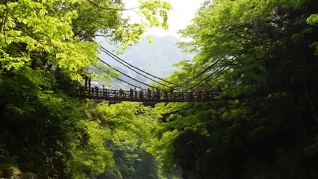 秘境と呼ばれる山間の地を楽しむ。平家落人伝説の残る「祖谷のかずら橋」、断崖に立つ「小便小僧」。