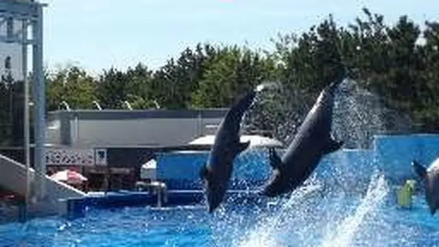 夏の日本海を楽しむ!