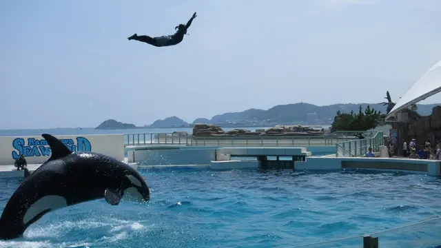 鴨川シーワールドへ向けて！南房総、海沿いドライブ！