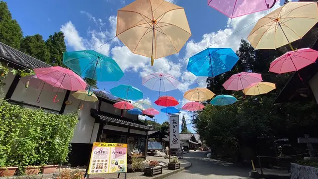 【北陸新幹線開通🚄】延伸駅のオススメスポット20選！前編（小松・加賀温泉・芦原温泉）