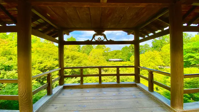 【京都】夏の京都に推したいプラン。