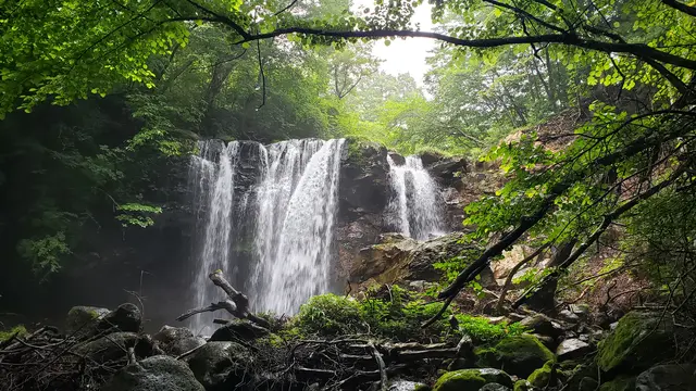 栃木ドライブ🥟那須高原⛰️