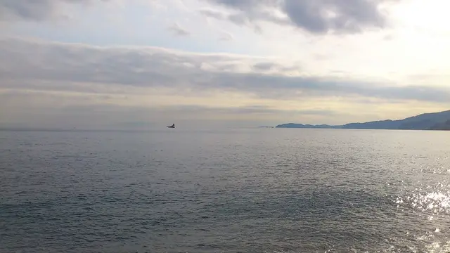 美味しい小田原周辺を食べ歩き!